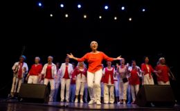 Artiesten en muzikanten gezocht voor Cultuurparade